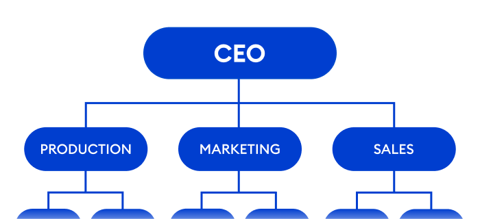 Organizational structure