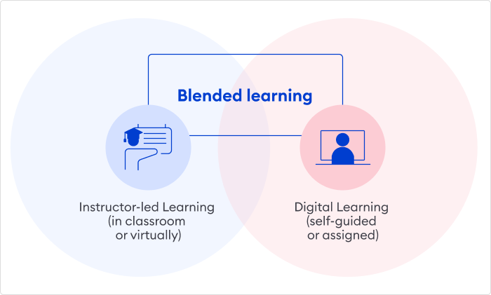 Blended learning