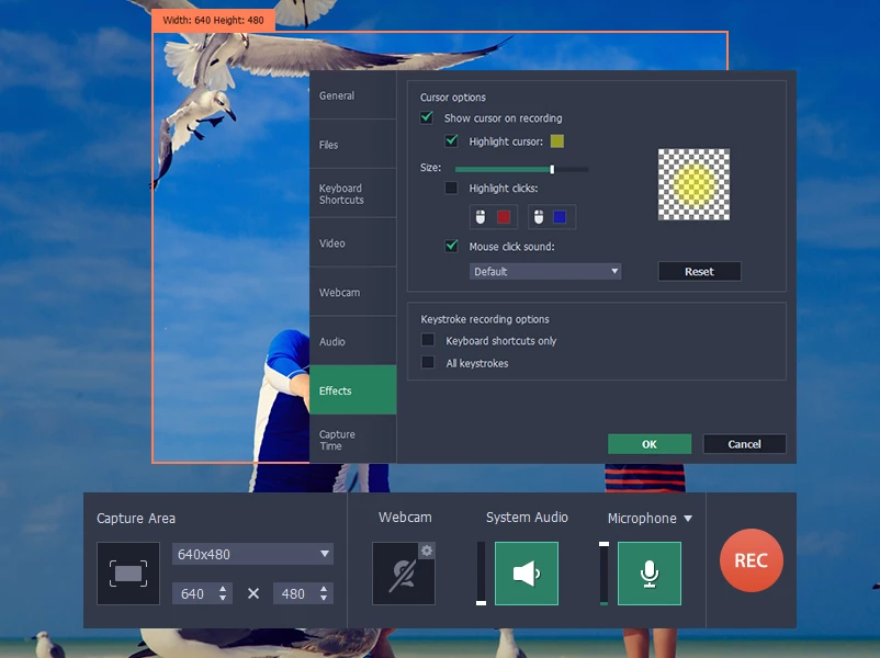 MovAvi Screen Recorder